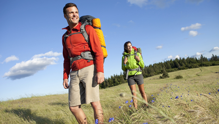 Istock 000020427301large